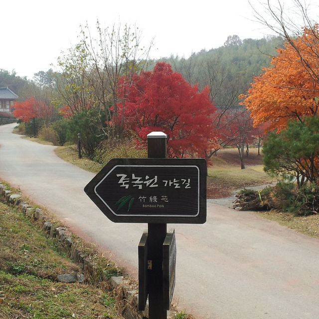 귀여운 팬더들을 만날 수 있는, 담양 죽녹원