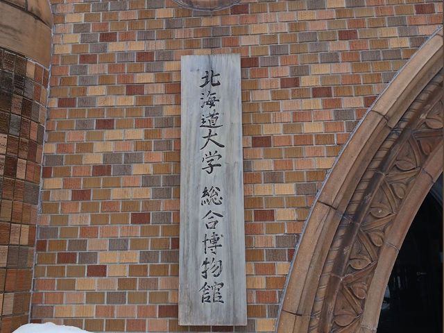 北海道大学の博物館🤍【北海道大学総合博物館】