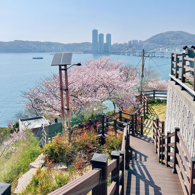 부산으로 여행가면 꼭 가봐야 하는 <흰여울문화마을> 💕