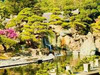 Nan Lian Garden: Spring's Symphony of Colour