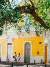 ユカタン半島最大の都市！メリダ🇲🇽🌿💘