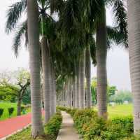 インドの緑に囲まれた癒しの公園🇮🇳