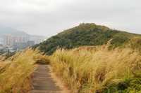 From Sheung Shui to Fanling — Wah Shan Military Path Hike