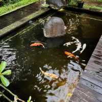 Hidden Harmony at Kandarpa Ubud
