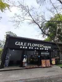 惠州除了西湖外,還是一個紅花湖也很美