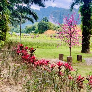 Spring Adventure at King Kong Sichon, Thailand