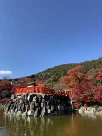 Katsuoji Temple วัดที่เต็มไปด้วยตุ๊กตาดารุมะ