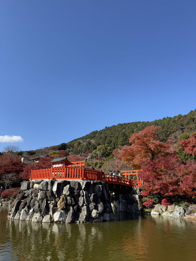 Katsuoji Temple วัดที่เต็มไปด้วยตุ๊กตาดารุมะ