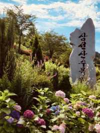 Spring's Photographic Journey 
