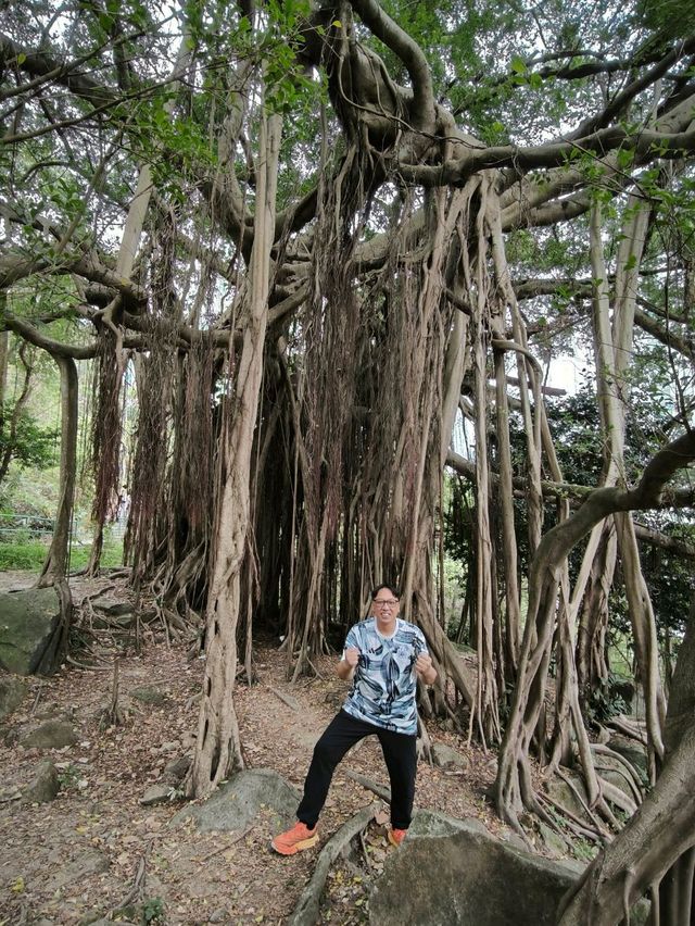 【石龍拱】有美麗山海相伴,是行山之好去處！