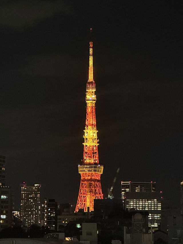 Tokyo Shinjuku – The Neon City That Never Sleeps
