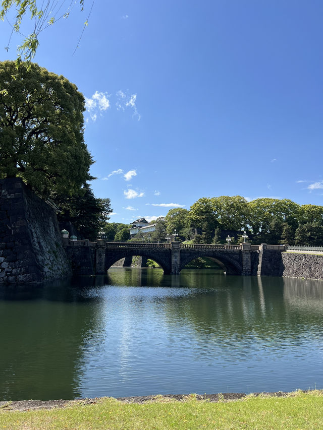 Spring Blossoms at the Imperial Palace🌼