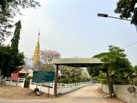 วันเดย์ทริป ล่องเรือเขื่อนภูมิพลเที่ยวสันป่าป๋วย