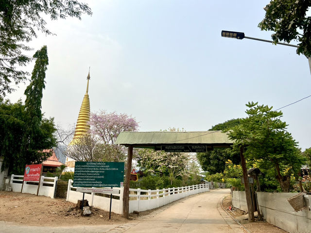 วันเดย์ทริป ล่องเรือเขื่อนภูมิพลเที่ยวสันป่าป๋วย