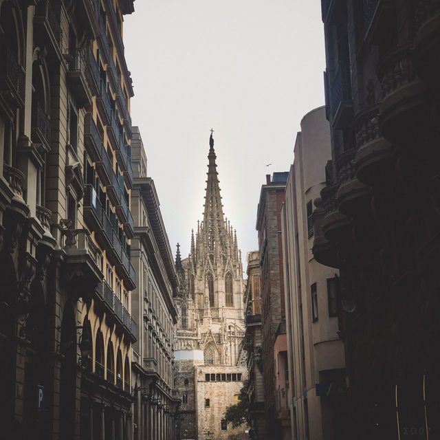 ⛪ Cathedral of Barcelona, 바르셀로나의 고딕 걸작을 만나다!