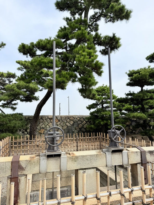 다카마쓰 천수대 전망대를 가보세요!