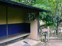 侘び寂びに触れる、心静まる茶室体験🍵⛩