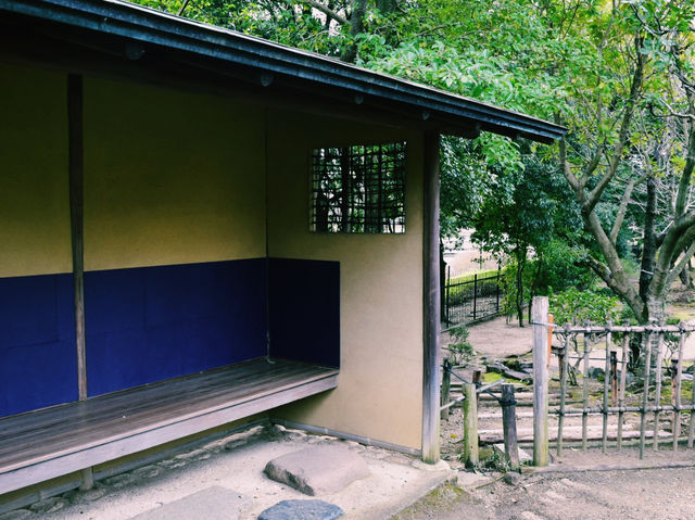 侘び寂びに触れる、心静まる茶室体験🍵⛩