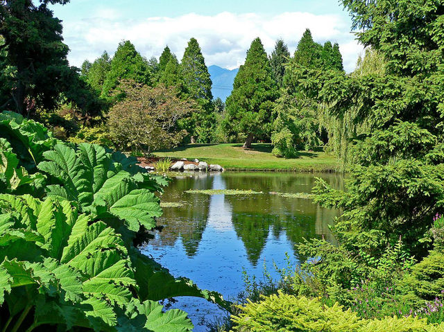 溫哥華範度森植物園