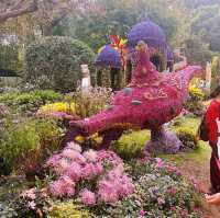 Blossoms and Tranquility: A Day at Hangzhou Botanical Garden