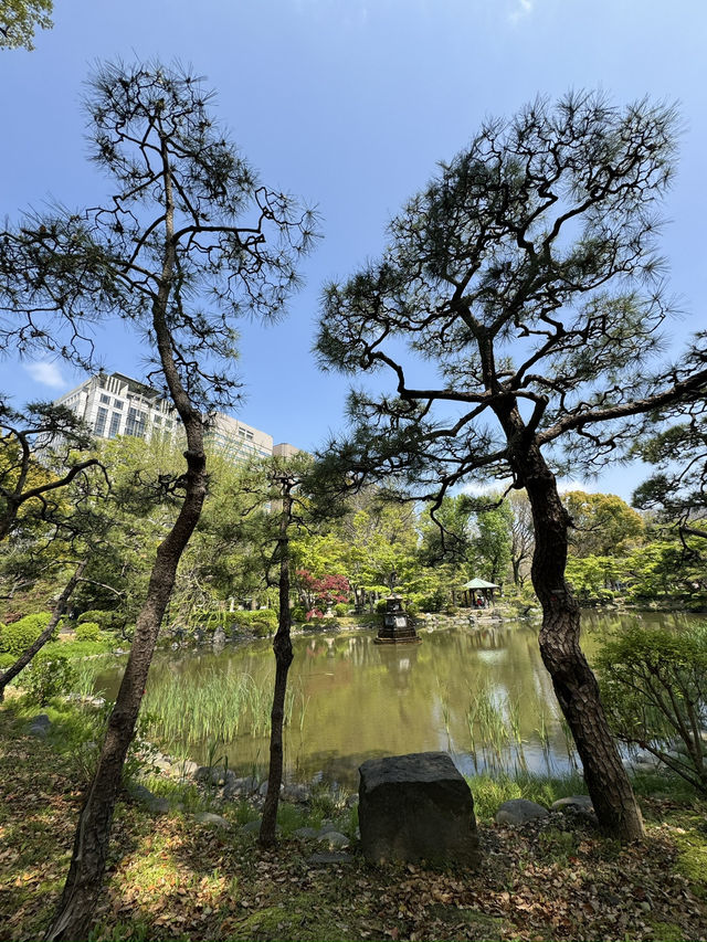 東京｜日比谷公園一日遊 🌸
