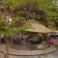 คาเฟ่&ร้านอาหาร ฟีลป่า กลางกรุง #กรุงเทพฯ