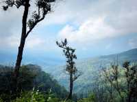 บทพิสูจน์ใจ ก่อนพบสวรรค์ลานสน 🌲