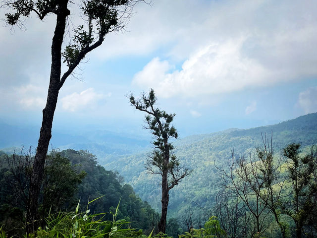 บทพิสูจน์ใจ ก่อนพบสวรรค์ลานสน 🌲
