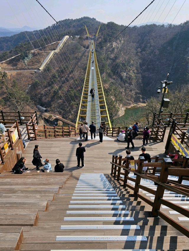 👉👉원주 소금산 출렁다리 케이블카
