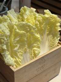 Shabu Baru ชาบู-สุกี้ยากี้สไตล์ญี่ปุ่น 
