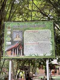 ไปเดินเล่นชิลล์ๆ ที่ “ป่าไผ่วัดจุฬาภรณ์” นครนายก