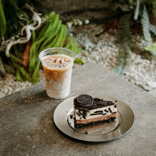 Bold Energy at Oomph Coffee