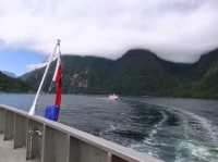 #米爾福德峽灣Milford Sound-紐西蘭南島
