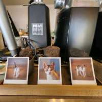 CAFE OVER LORD