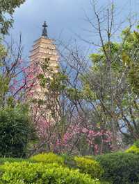 Blossoms and Pagodas: Springtime Magic at Dali’s Chongsheng Temple (崇圣寺三塔)