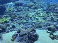 「親子旅行好去處2」珠海長隆飛船樂園