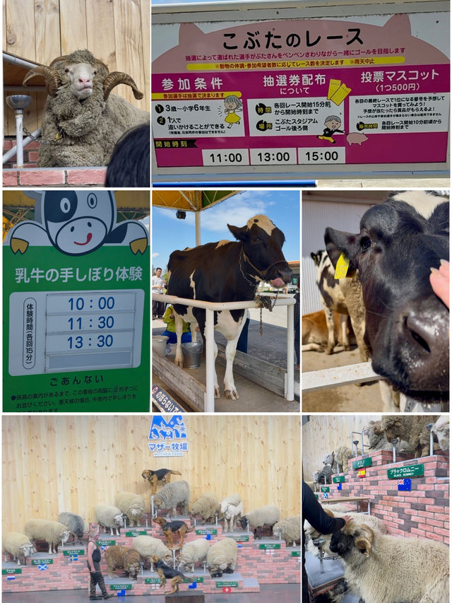 触れ合いすぎたマザー牧場