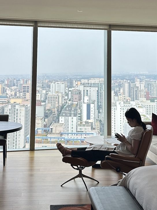 제주에서 가장 높은 호텔 🏨