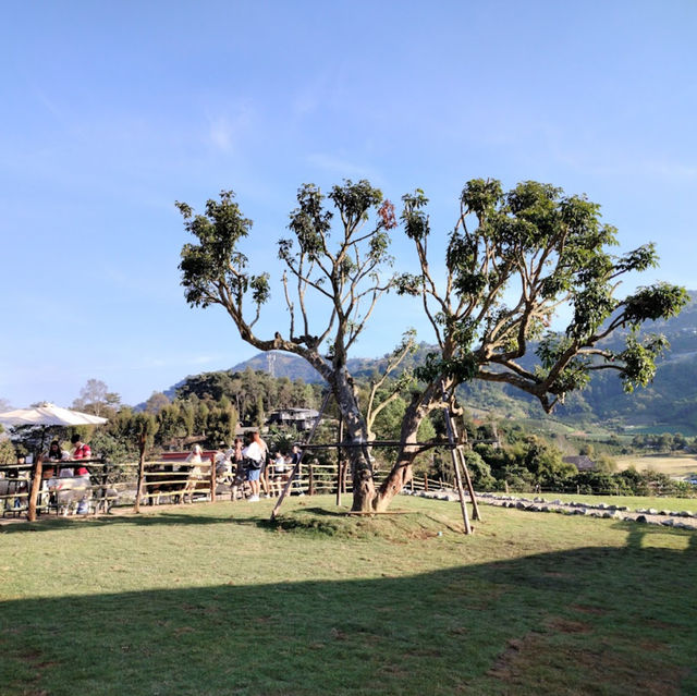 🐑🌿 บ้านแกะแม่ขิ (Maekee Sheep House)