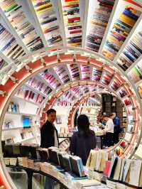“Sails, Stories & Skylines: A Day Through Seaside Shenzhen