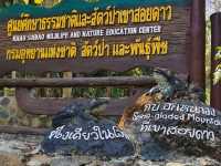 เขตรักษาพันธุ์สัตว์ป่าเขาสอยดาว