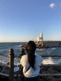 🌊 제주 여행 추천 관광지 & 인생샷 명소, 봄의 낭만!
