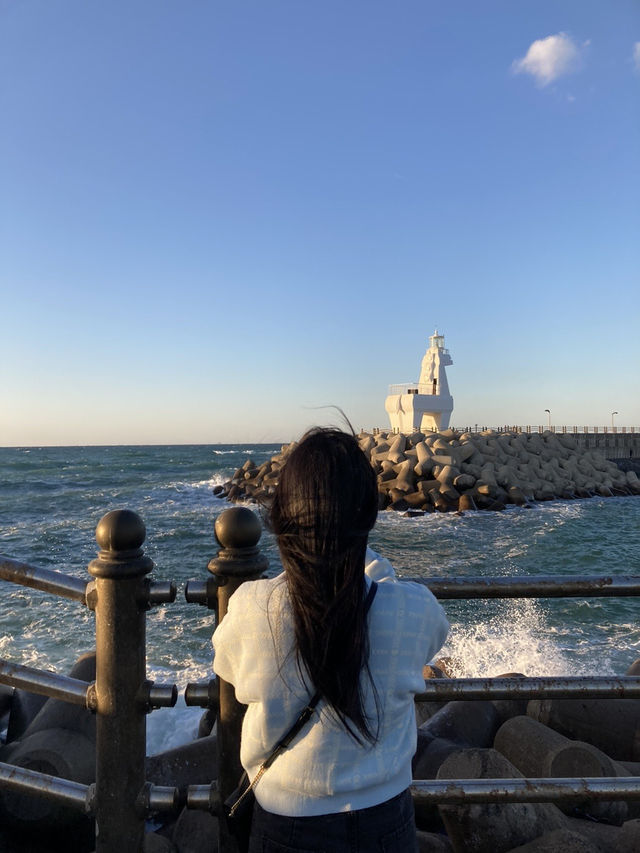 🌊 제주 여행 추천 관광지 & 인생샷 명소, 봄의 낭만!