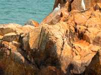 Ma Wan Tung Wan Beach 