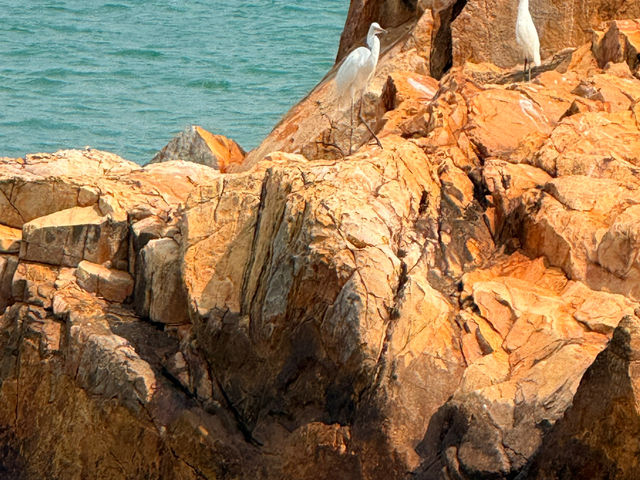 Ma Wan Tung Wan Beach 
