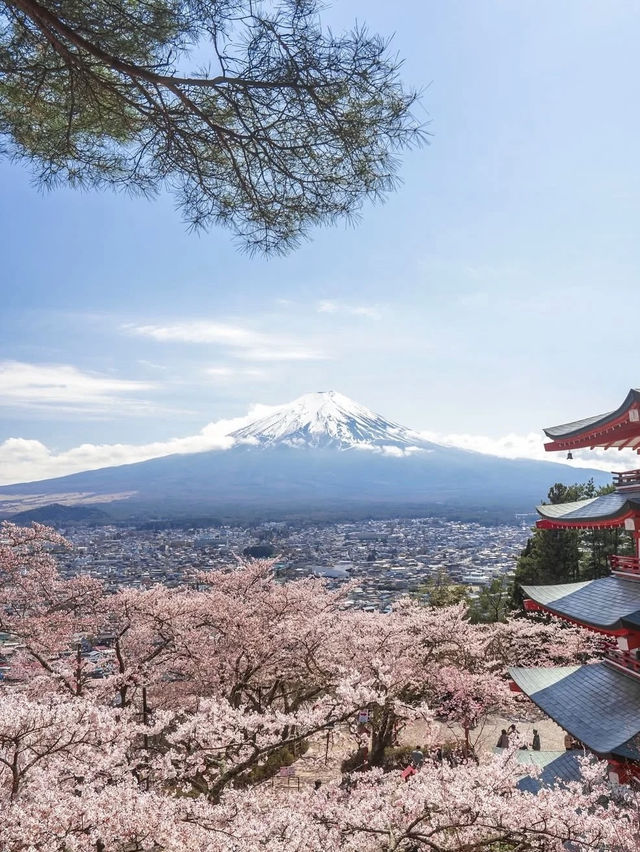 日本🇯🇵｜富士山🗻❌櫻花🌸超靚❗️