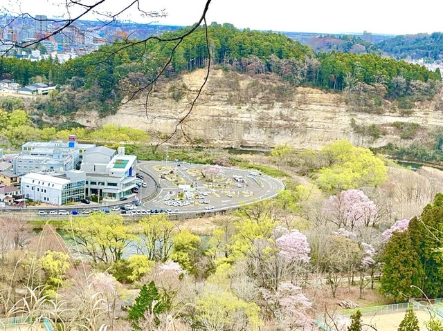 🇯🇵 仙台的歷史和賞櫻之旅