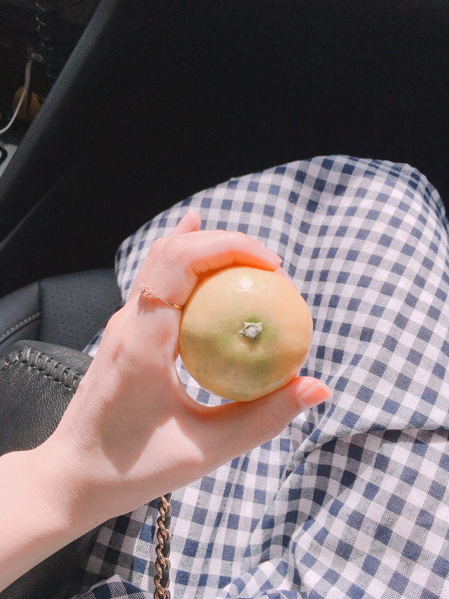 🏝️ 제주에서 꼭 먹어야 할 음식 6선