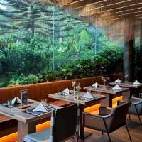 MYS Khaoyai โรงแรมเขาใหญ่ที่มีสระว่ายน้ำลอยฟ้า