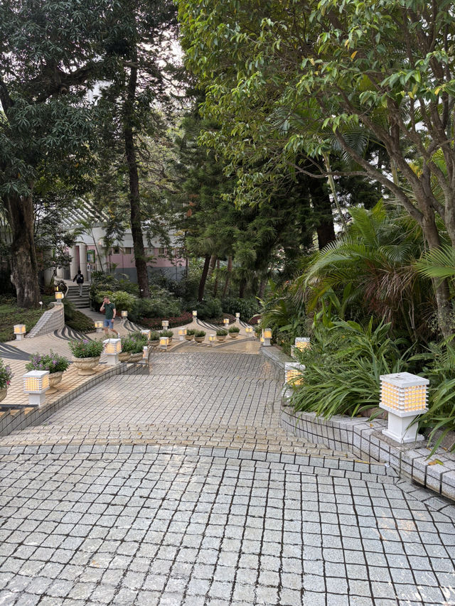 鋼鐵森林與綠意仙境 🏙️ 香港公園的獨特視角 🌸